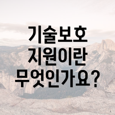 기술보호 지원이란 무엇인가요?