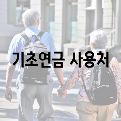 기초연금 사용처