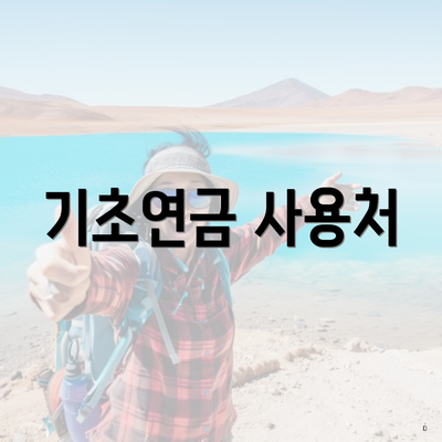 기초연금 사용처