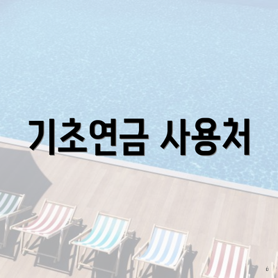 기초연금 사용처