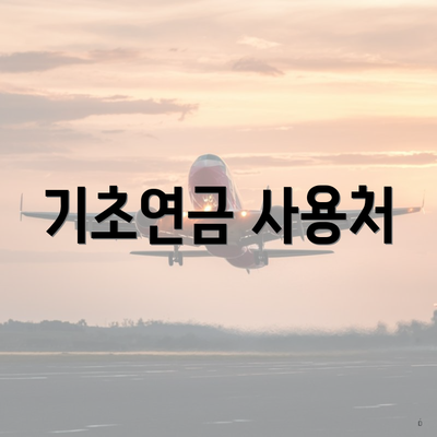기초연금 사용처