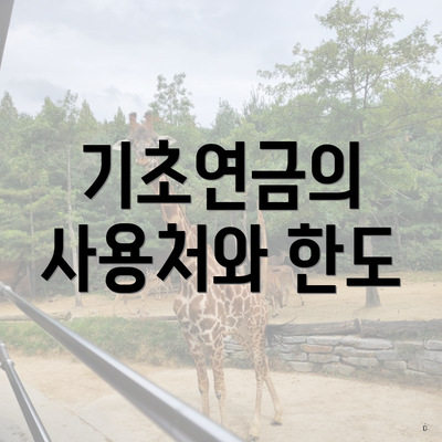 기초연금의 사용처와 한도