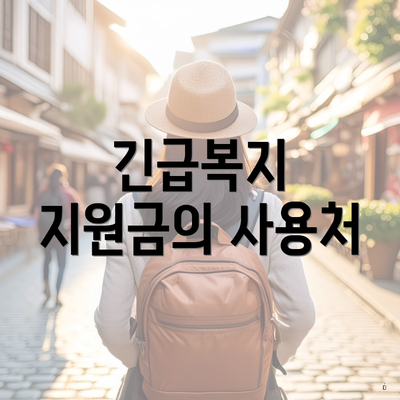 긴급복지 지원금의 사용처