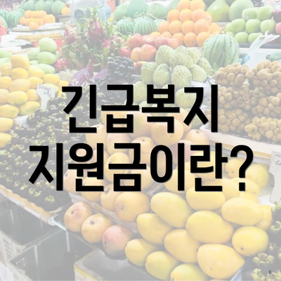 긴급복지 지원금이란?