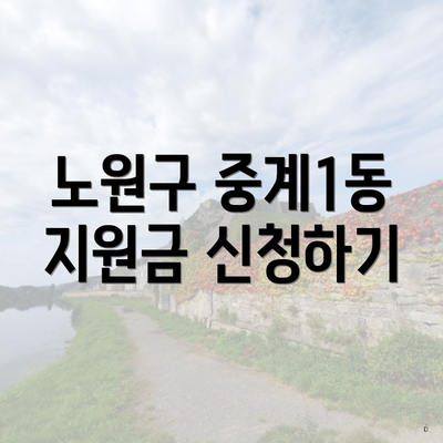 노원구 중계1동 지원금 신청하기
