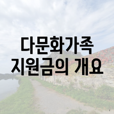 다문화가족 지원금의 개요
