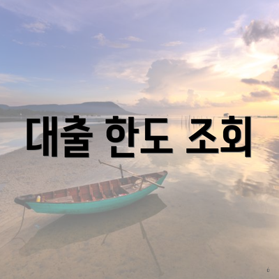 대출 한도 조회