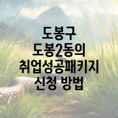 도봉구 도봉2동의 취업성공패키지 신청 방법
