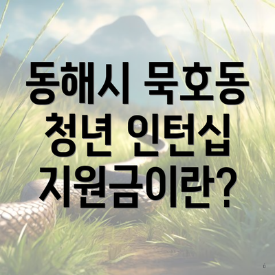 동해시 묵호동 청년 인턴십 지원금이란?