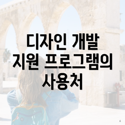 디자인 개발 지원 프로그램의 사용처
