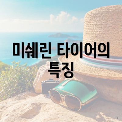 미쉐린 타이어의 특징