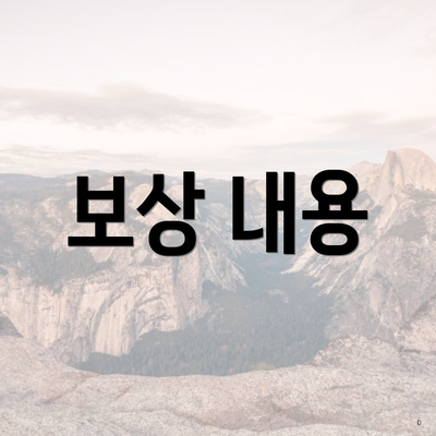 보상 내용