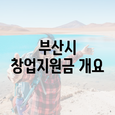 부산시 창업지원금 개요