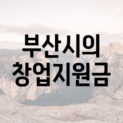 부산시의 창업지원금