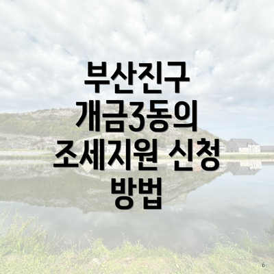 부산진구 개금3동의 조세지원 신청 방법