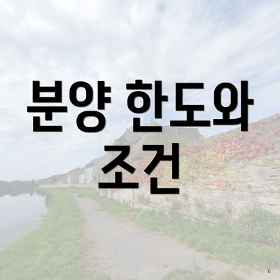 분양 한도와 조건