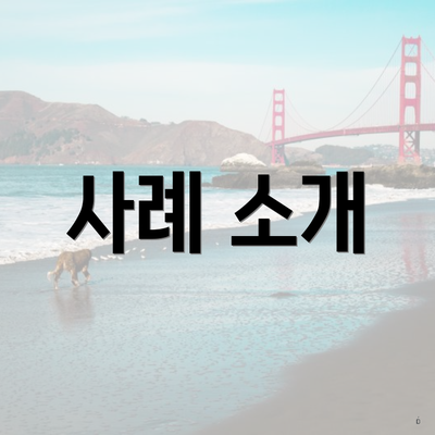 사례 소개
