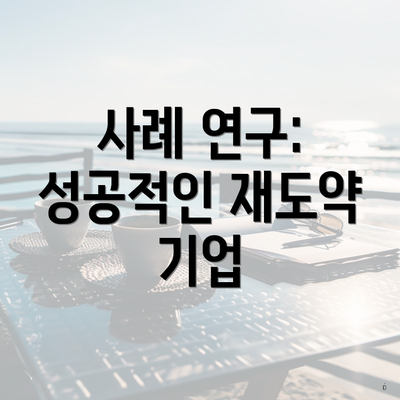 사례 연구: 성공적인 재도약 기업