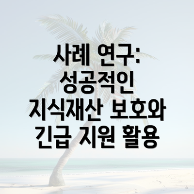 사례 연구: 성공적인 지식재산 보호와 긴급 지원 활용
