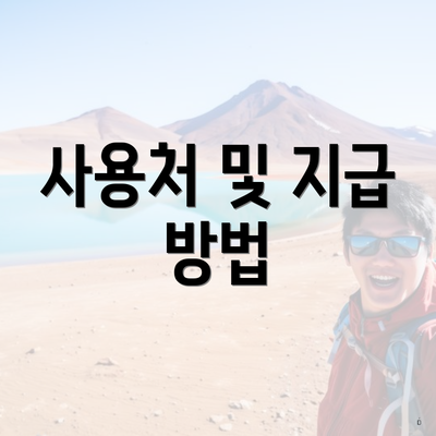 사용처 및 지급 방법