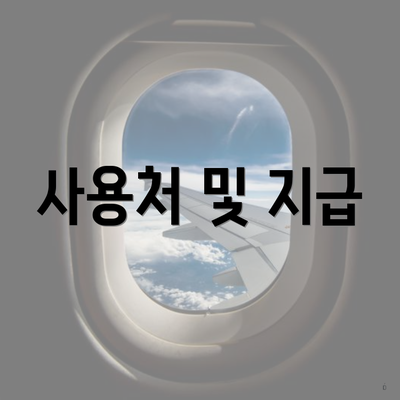 사용처 및 지급