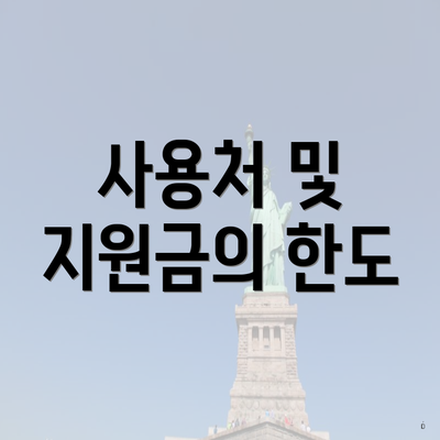 사용처 및 지원금의 한도