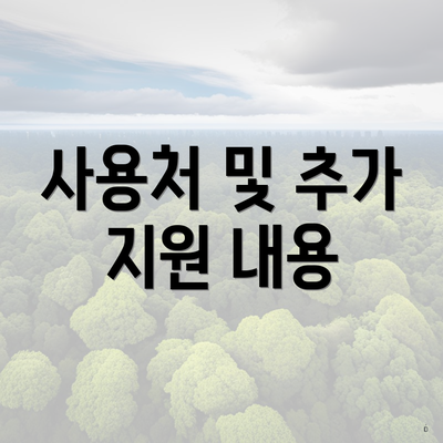 사용처 및 추가 지원 내용