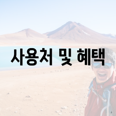 사용처 및 혜택
