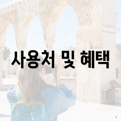 사용처 및 혜택
