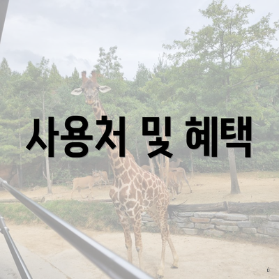 사용처 및 혜택