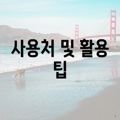 사용처 및 활용 팁