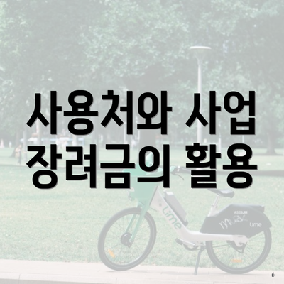 사용처와 사업 장려금의 활용