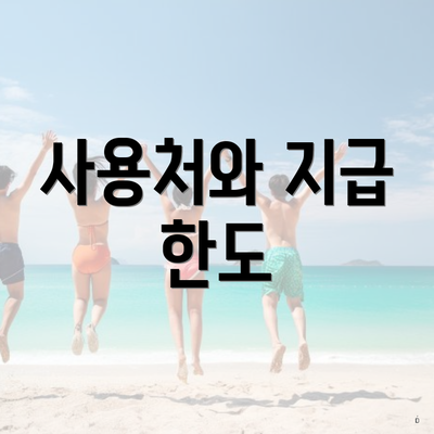 사용처와 지급 한도