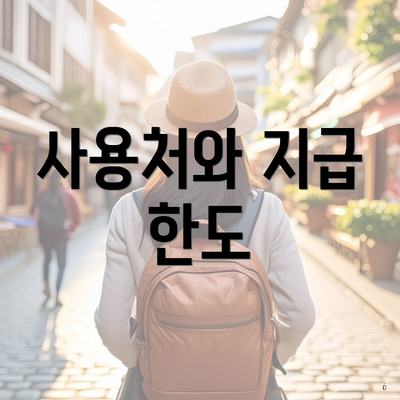 사용처와 지급 한도