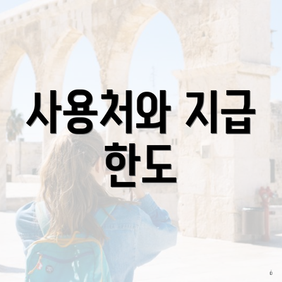 사용처와 지급 한도