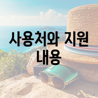사용처와 지원 내용