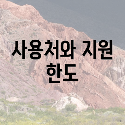 사용처와 지원 한도