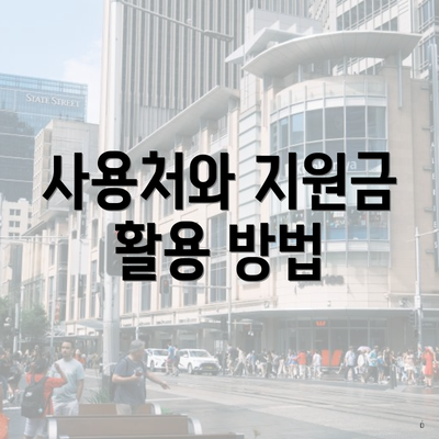 사용처와 지원금 활용 방법