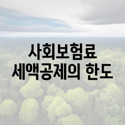 사회보험료 세액공제의 한도