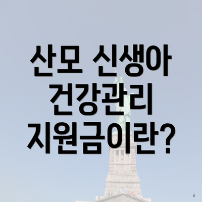 산모 신생아 건강관리 지원금이란?