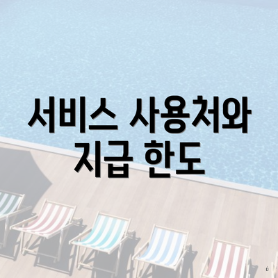 서비스 사용처와 지급 한도