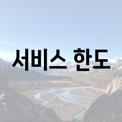 서비스 한도
