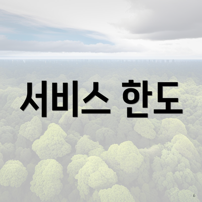 서비스 한도