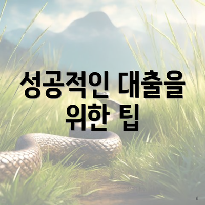 성공적인 대출을 위한 팁