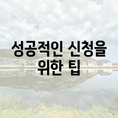 성공적인 신청을 위한 팁