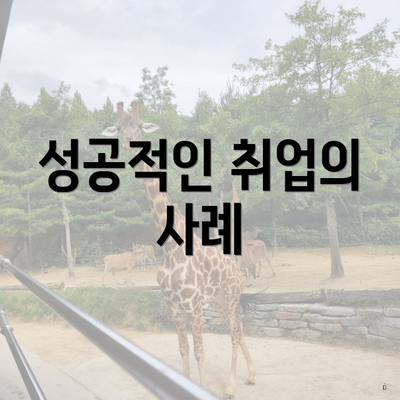 성공적인 취업의 사례