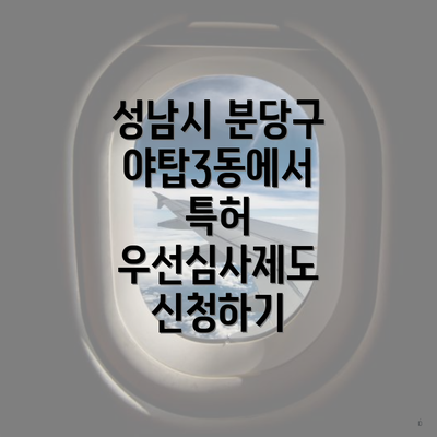 성남시 분당구 야탑3동에서 특허 우선심사제도 신청하기
