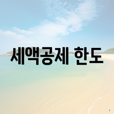 세액공제 한도
