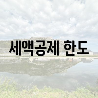 세액공제 한도