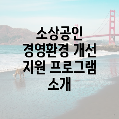 소상공인 경영환경 개선 지원 프로그램 소개